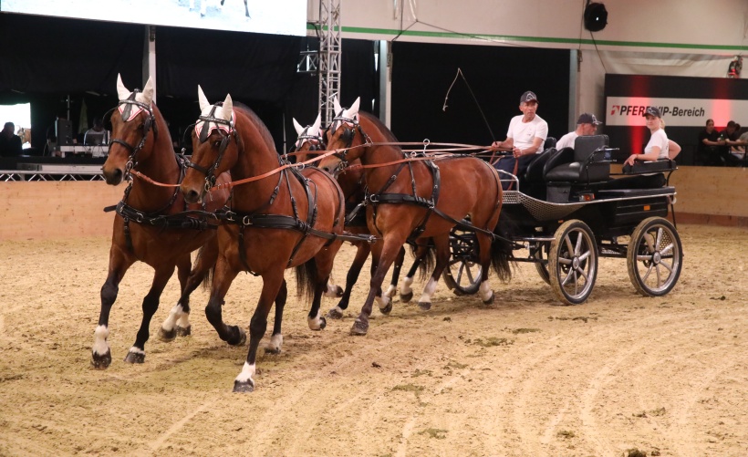 présentation du syndicat chevalin de Falkenstein